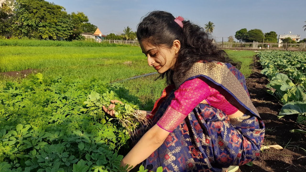 Methi विशेष Satvik Recipes | मेथीचे पिठले,डाळ , पराठा ,मुटके आणि ज्वारीच्या भाकरी | पारंपरिक recipes