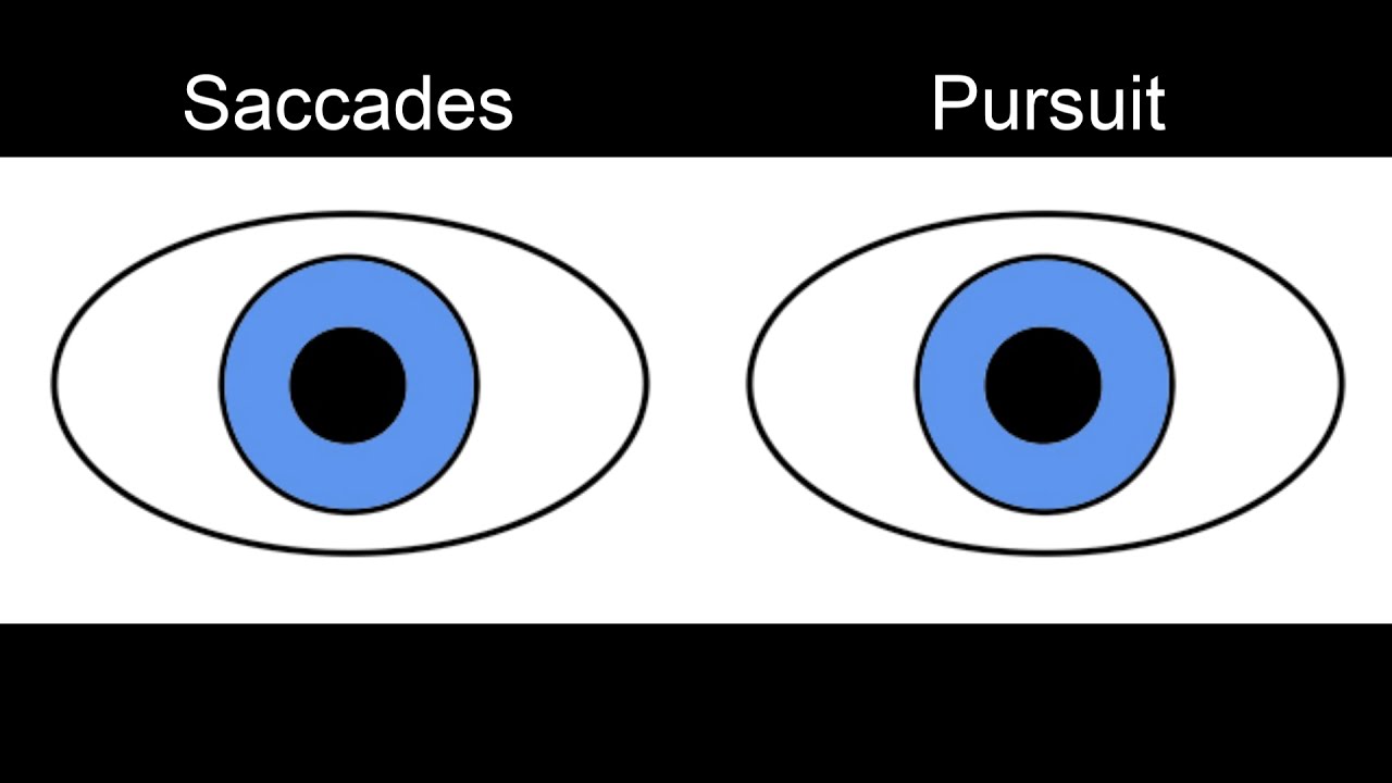 RS Supranuclear Ocular Motor Pathways Part 1   Horizontal Saccades