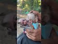 #fypviralシ #cute #monkey #animal #cutemonkey #babymonkey #littlebabymonkey #viralvideo #Short