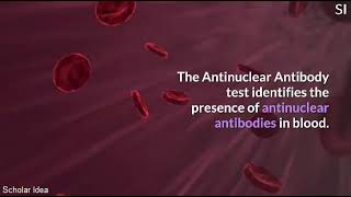 What is Antinuclear Antibody (ANA) test