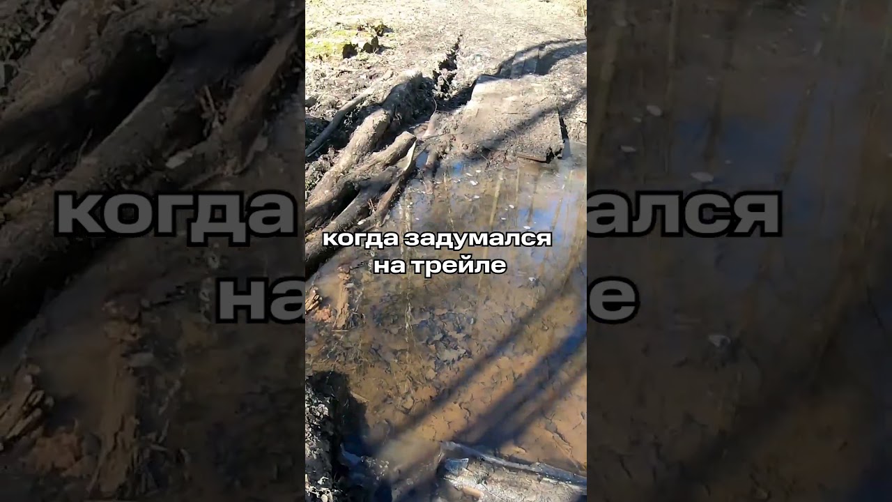 Когда задумался на трейле🤣🐟