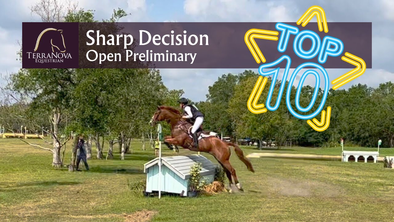 TOP TEN FINISH! Sharp Decision in Open Preliminary at the 2023 March Event at Terra Nova