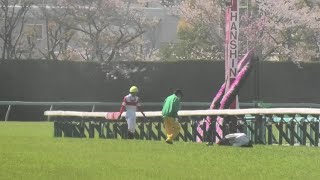 後続馬に蹴られてる……。川田騎手、右アブミ外れて落馬。富田騎手も。現地映像、阪神競馬場。