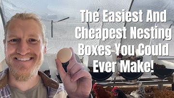 The EASIEST And CHEAPEST Nesting Boxes You Could Ever Make!