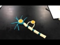 Nate,Peter and Kevin Present Myelination of axons in the CNS