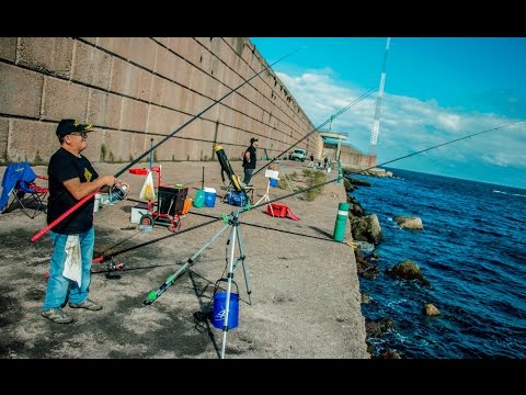 Iniciacion a la pesca de surfcasting 