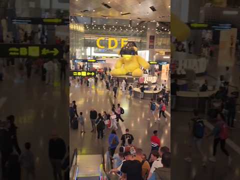 مطار حمد الدولي من أجمل وأكبر المطارات على الإطلاق  قطر 2022