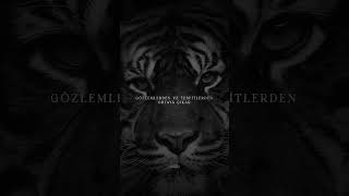 Sezgiler Ve Şüpheler... Resimi