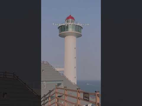 태종대 Taejongdae