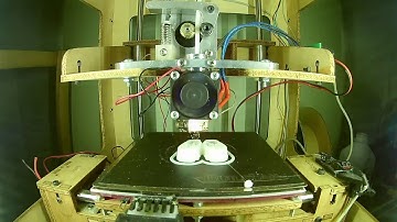 Phil A Ment 3D Printing Time Lapse