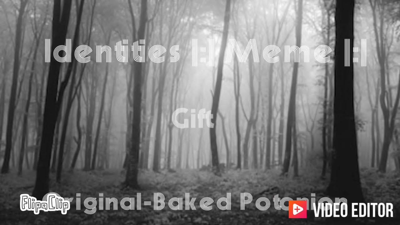 Identities |:|Meme|:|W.I.P|:|Will Never Finish Sorry|:|