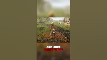 Warhammer Class & Subclasses | The Quinfall MMORPG #shorts    #mmorpg  #thequinfall