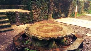 Aveiro&Bosque de Bussaco, Portugal 2016