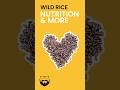 Wild Rice Nutrition & More