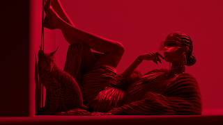 Deep House Mix 2026 | Crimson Window Siren & Velvet Lynx Poise | Red Noir House screenshot 4
