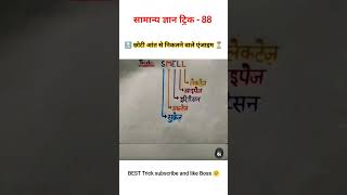 सामान्य ज्ञान ट्रिक - 88 ( छोटी आंत से निकलने वाले एंजाइम) || #shorts #tricks #gktricks #gk #trick
