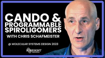 Chris Schafmeister | CANDO & Programmable Spiroligomers @ Molecular Systems Design Workshop 2023