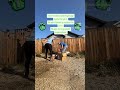 Be your own hero! Go beyond expectations! Motivational! #GreenBear #junkremoval