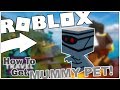 Roblox Time Travel Adventures Mummy Mystery
