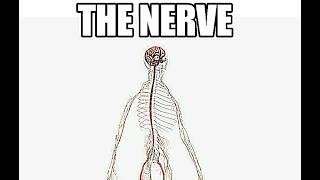 Broken Script be like: