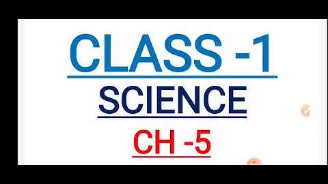 CLASS -1  SCIENCE   CH-5   KEEPING CLEAN AND FIT (PART-2)