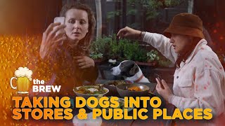 Is it OK to Take Dogs into Stores & Restaurants [The Brew # 373]