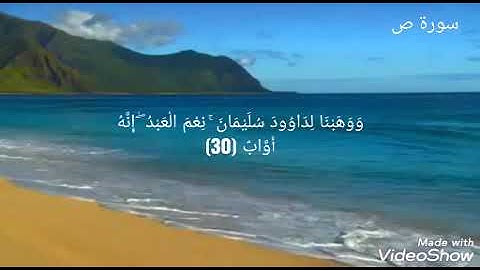 وَوَهَبْنَا لِدَاوُودَ سُلَيْمَانَ ۚ نِعْمَ الْعَبْدُ ۖ إِنَّهُ أَوَّابٌ (30) القارئ رعد الكردي