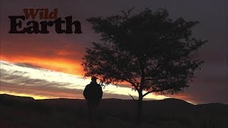 WildEarth - Sunrise Safari - 26 May 2020