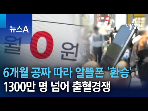 6개월 공짜 따라 알뜰폰 환승 1300만 명 넘어 출혈경쟁 뉴스A 