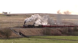 Mainline Monsters of Steam in 2022.