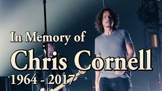 &quot;Hunger Strike&quot; In Memory of Chris Cornell 1964-2017 [ 4K ]