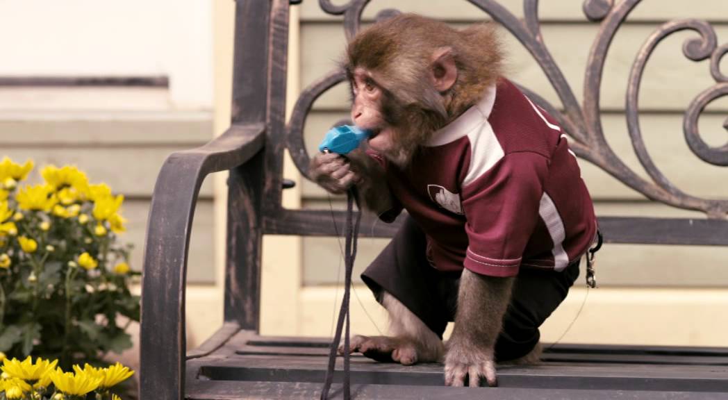 Monkey in the Middle trailer