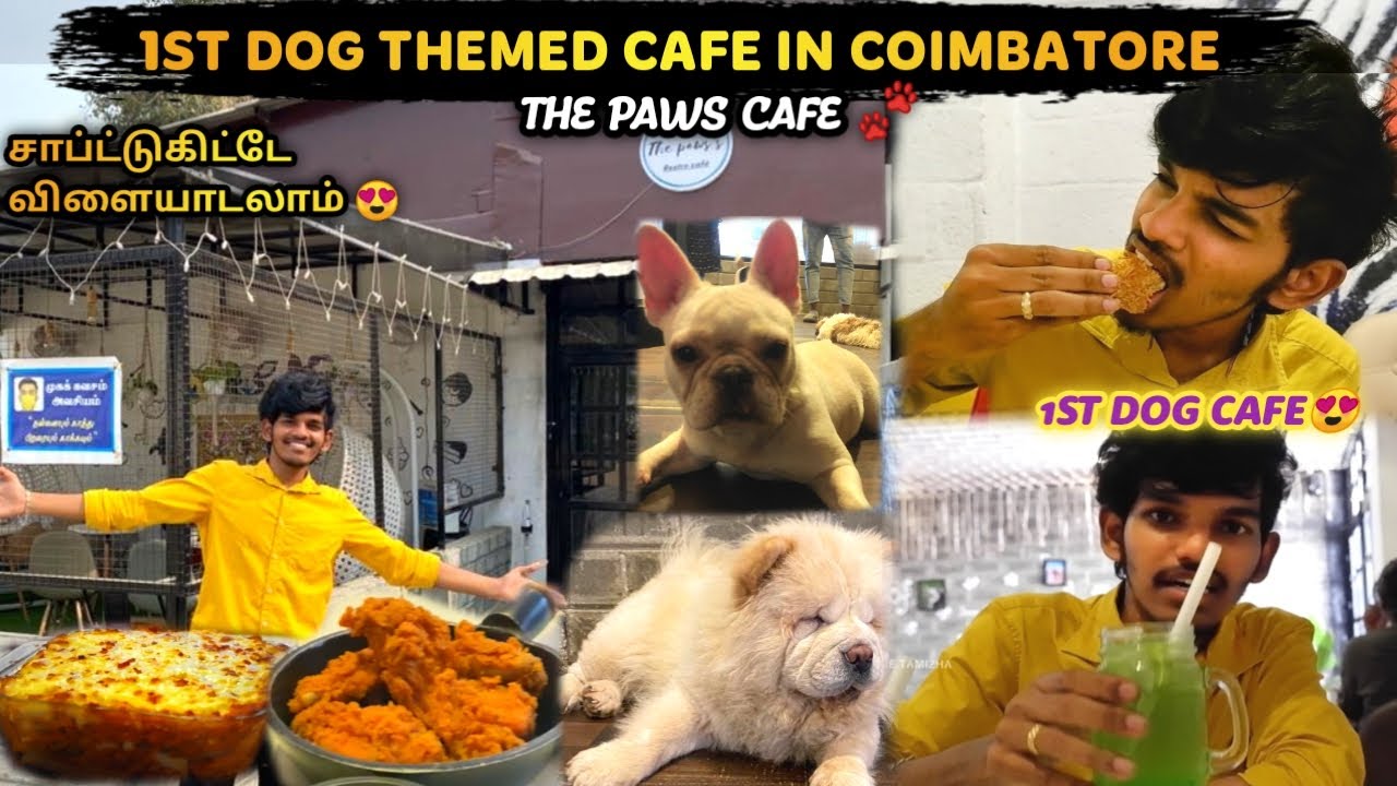 Visiting 1st Dog Cafe😍 Dog Themed Restaurant in Coimbatore Food