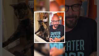 What are these BUBBLES! 😹🛁 #cats #catbehavior #reaction by Jackson Galaxy 60,110 views 7 months ago 1 minute, 6 seconds