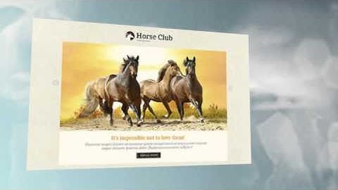 Flash Website Templates