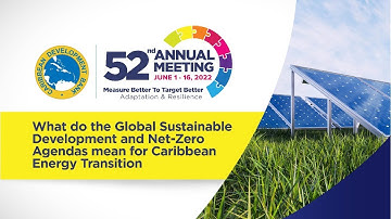 What Do Global Sustainable Development & Net-Zero Agendas Mean?