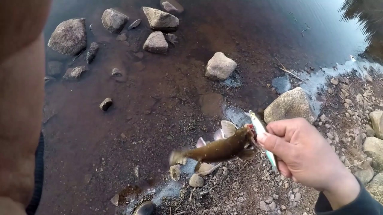 Easter trout fishing around Eskasoni. 