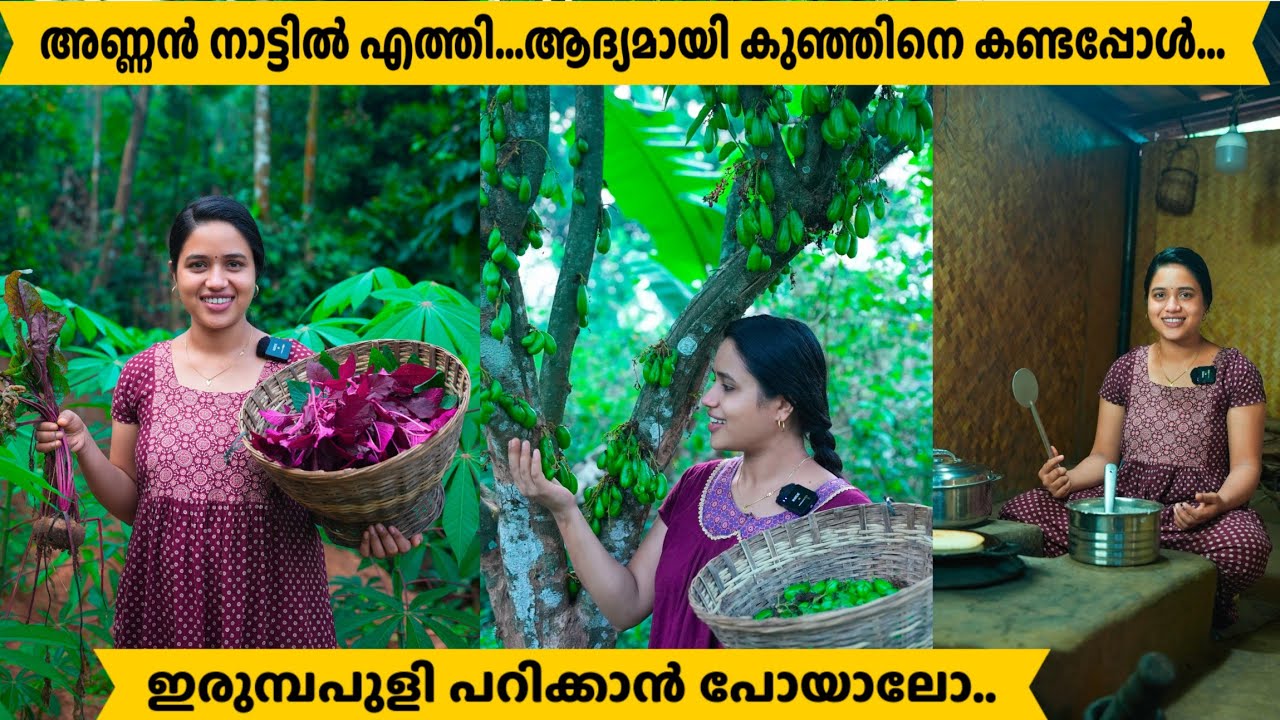 അണ്ണൻ നാട്ടിലെത്തി.... ആദ്യമായി കുഞ്ഞിനെ കണ്ടു.. @Saranya's beauty vlogs SBV