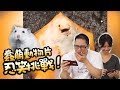 《倉鼠人》許伯V.S簡芝!10呆萌動物片含水忍笑挑戰!!