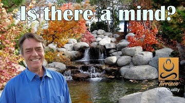 Is There a mind? - Non duality with Terrence