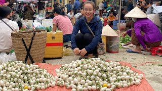 Harvest the eggplant garden to make pickled eggplant and go to the market to sell