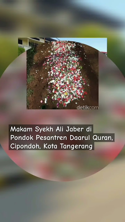 Makam Syekh Ali Jaber #shorts