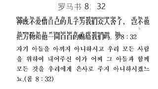 해석이 있는 중국어 성경 196 罗马书8:32 로마서 8장 32절 중국어로