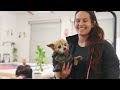 Adele Fornarino And Ana Rodrigues Are Elevating Women's Jiu-Jitsu At Hyperfly HQ