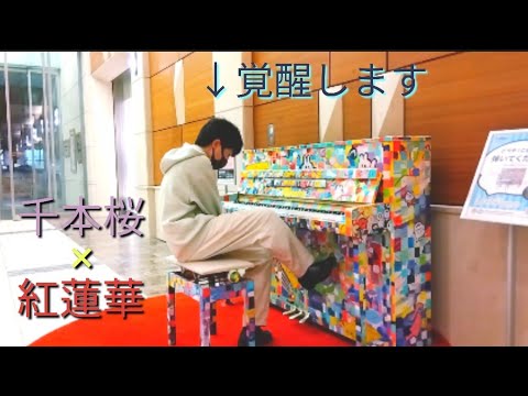 ｢千本桜｣と｢紅蓮華｣を混ぜて覚醒した結果がヤバすぎた、、、