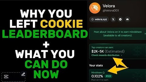 🔥 COOKIE Latest update: No more SNAPS vs MINDSHARE update