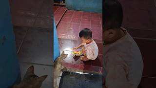 abidzar kasih kucing makan