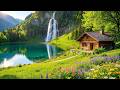 Beautiful Relaxing Music Nature Sounds Reduce Stress Stop Overthinking And Deep Sleep 4 Beautiful Relaxing Music Nature Sounds Reduce Stress Stop Overthinking And Deep Sleep 4