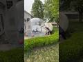 Filling My New Dome With Water Shorts Filling My New Dome With Water Shorts