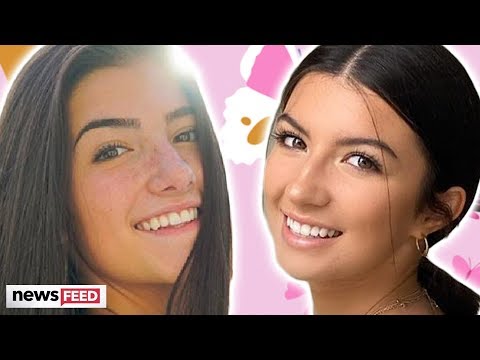 Charli D'Amelio Look-Alike Joining Daisy Keech's Clubhouse!